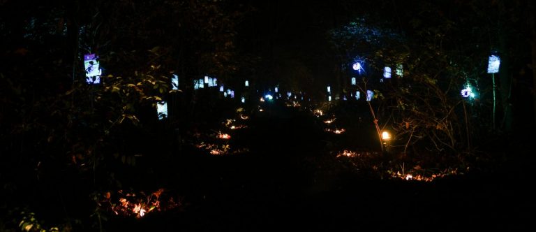 Voorlopige startlijst lampionnentocht 2024